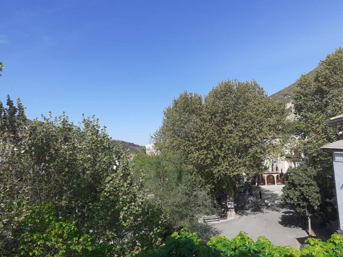 Apartamentos Pinos Genil Luaran gambar